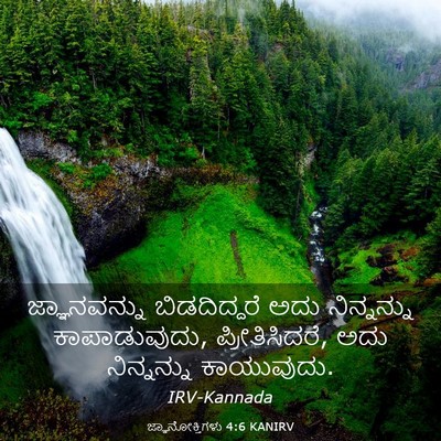 Picture 03 - ಜ್ಞಾನೋಕ್ತಿಗಳು 4:6 KANIRV - ಜ್ಞಾನವನ್ನು - Bible Verse Picture