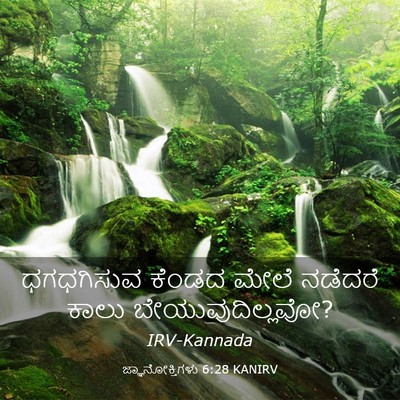 Picture 03 - ಜ್ಞಾನೋಕ್ತಿಗಳು 6:28 KANIRV - ಧಗಧಗಿಸುವ ಕೆಂಡದ - Bible Verse Picture