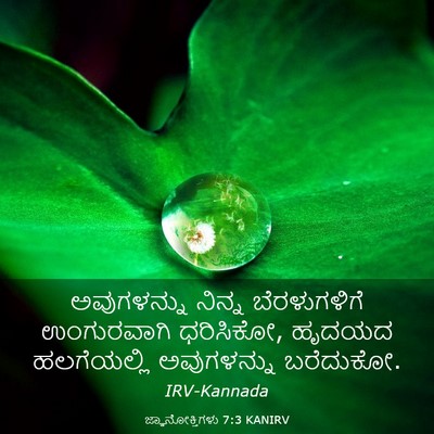 Picture 03 - ಜ್ಞಾನೋಕ್ತಿಗಳು 7:3 KANIRV - ಅವುಗಳನ್ನು ನಿನ್ನ - Bible Verse Picture