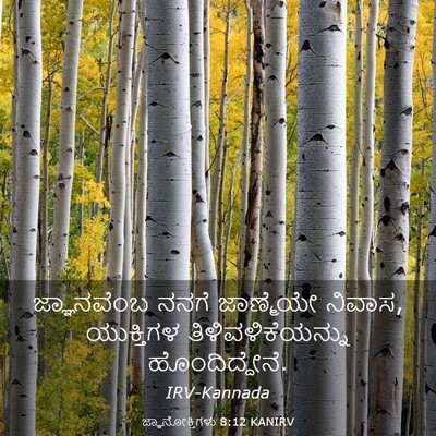 Picture 03 - ಜ್ಞಾನೋಕ್ತಿಗಳು 8:12 KANIRV - ಜ್ಞಾನವೆಂಬ ನನಗೆ - Bible Verse Picture