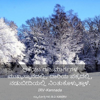 Picture 03 - ಜ್ಞಾನೋಕ್ತಿಗಳು 8:2 KANIRV - ಆಕೆಯು ರಾಜಮಾರ್ಗಗಳ - Bible Verse Picture
