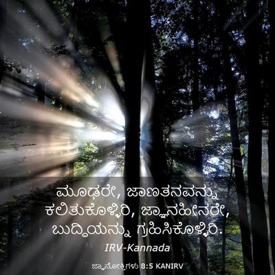 Picture 03 - ಜ್ಞಾನೋಕ್ತಿಗಳು 8:5 KANIRV - ಮೂಢರೇ, ಜಾಣತನವನ್ನು - Bible Verse Picture