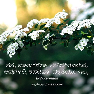 Picture 03 - ಜ್ಞಾನೋಕ್ತಿಗಳು 8:8 KANIRV - ನನ್ನ ಮಾತುಗಳೆಲ್ಲಾ - Bible Verse Picture