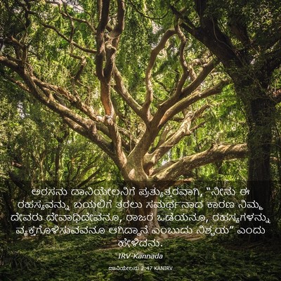 Picture 03 - ದಾನಿಯೇಲನು 2:47 KANIRV - ಅರಸನು ದಾನಿಯೇಲನಿಗೆ - Bible Verse Picture