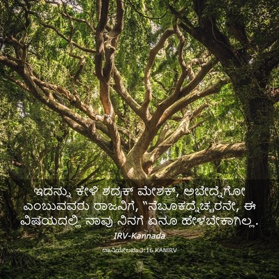 Picture 03 - ದಾನಿಯೇಲನು 3:16 KANIRV - ಇದನ್ನು ಕೇಳಿ - Bible Verse Picture