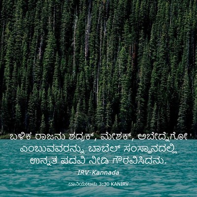 Picture 03 - ದಾನಿಯೇಲನು 3:30 KANIRV - ಬಳಿಕ ರಾಜನು ಶದ್ರಕ್, - Bible Verse Picture