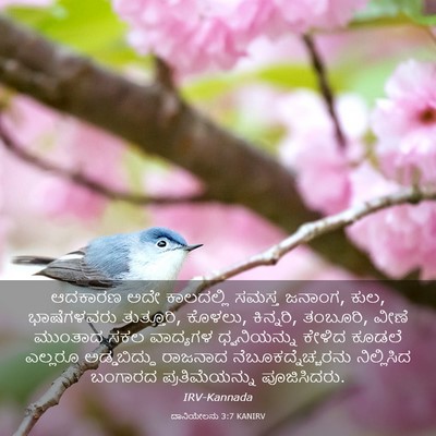 Picture 03 - ದಾನಿಯೇಲನು 3:7 KANIRV - ಆದಕಾರಣ ಅದೇ - Bible Verse Picture