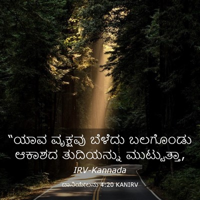 Picture 03 - ದಾನಿಯೇಲನು 4:20 KANIRV - “ಯಾವ ವೃಕ್ಷವು - Bible Verse Picture