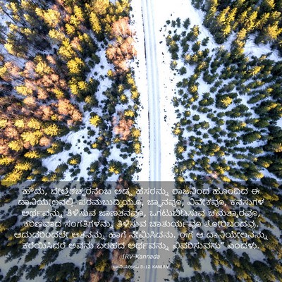 Picture 03 - ದಾನಿಯೇಲನು 5:12 KANIRV - ಹೌದು, - Bible Verse Picture