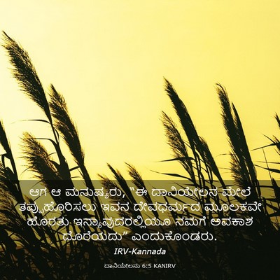 Picture 03 - ದಾನಿಯೇಲನು 6:5 KANIRV - ಆಗ ಆ ಮನುಷ್ಯರು, “ಈ - Bible Verse Picture