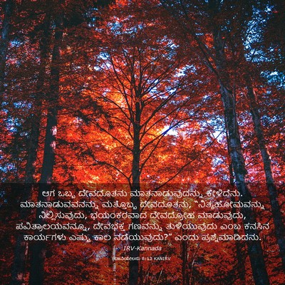 Picture 03 - ದಾನಿಯೇಲನು 8:13 KANIRV - ಆಗ ಒಬ್ಬ ದೇವದೂತನು - Bible Verse Picture