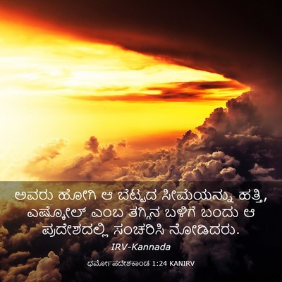 Picture 03 - ಧರ್ಮೋಪದೇಶಕಾಂಡ 1:24 KANIRV - ಅವರು ಹೋಗಿ ಆ ಬೆಟ್ಟದ - Bible Verse Picture