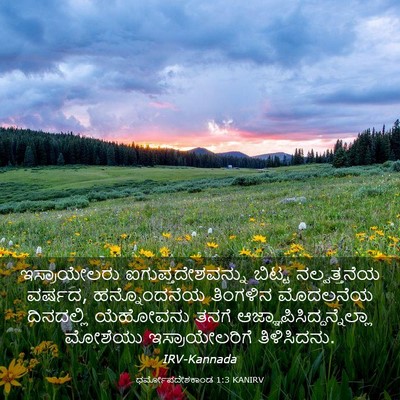 Picture 03 - ಧರ್ಮೋಪದೇಶಕಾಂಡ 1:3 KANIRV - ಇಸ್ರಾಯೇಲರು - Bible Verse Picture