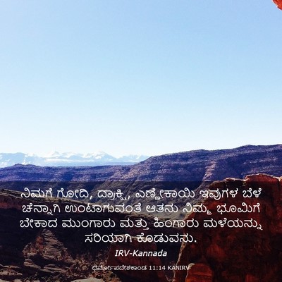 Picture 03 - ಧರ್ಮೋಪದೇಶಕಾಂಡ 11:14 KANIRV - ನಿಮಗೆ ಗೋದಿ, - Bible Verse Picture