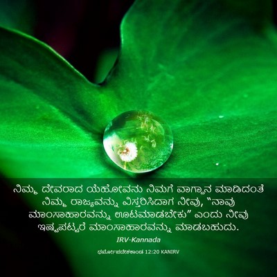Picture 03 - ಧರ್ಮೋಪದೇಶಕಾಂಡ 12:20 KANIRV - ನಿಮ್ಮ ದೇವರಾದ - Bible Verse Picture