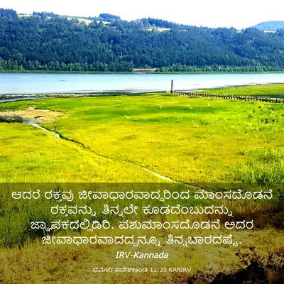 Picture 03 - ಧರ್ಮೋಪದೇಶಕಾಂಡ 12:23 KANIRV - ಆದರೆ ರಕ್ತವು - Bible Verse Picture