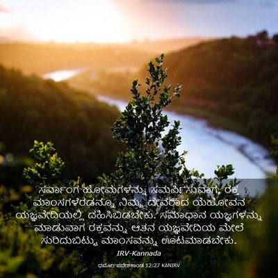 Picture 03 - ಧರ್ಮೋಪದೇಶಕಾಂಡ 12:27 KANIRV - ಸರ್ವಾಂಗ ಹೋಮಗಳನ್ನು - Bible Verse Picture