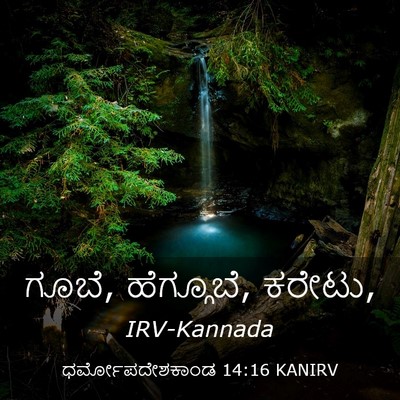 Picture 03 - ಧರ್ಮೋಪದೇಶಕಾಂಡ 14:16 KANIRV - ಗೂಬೆ, ಹೆಗ್ಗೂಬೆ, - Bible Verse Picture