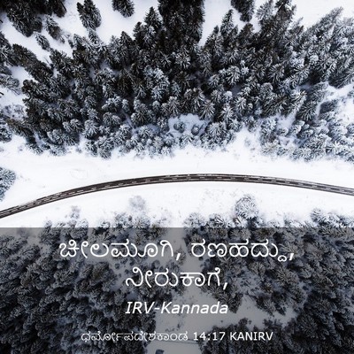 Picture 03 - ಧರ್ಮೋಪದೇಶಕಾಂಡ 14:17 KANIRV - ಚೀಲಮೂಗಿ, ರಣಹದ್ದು, - Bible Verse Picture