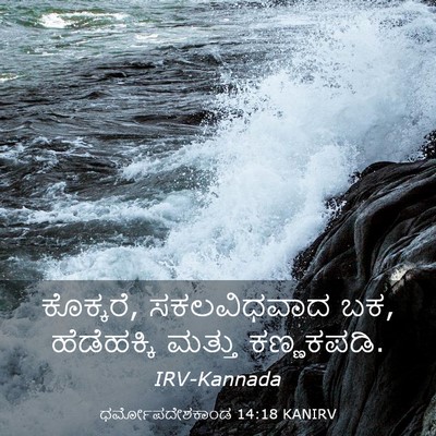 Picture 03 - ಧರ್ಮೋಪದೇಶಕಾಂಡ 14:18 KANIRV - ಕೊಕ್ಕರೆ, - Bible Verse Picture