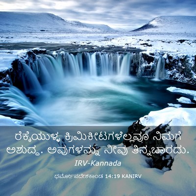 Picture 03 - ಧರ್ಮೋಪದೇಶಕಾಂಡ 14:19 KANIRV - ರೆಕ್ಕೆಯುಳ್ಳ - Bible Verse Picture