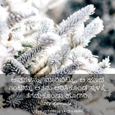 Picture 03 - ಧರ್ಮೋಪದೇಶಕಾಂಡ 14:25 KANIRV - ಅವುಗಳನ್ನು - Bible Verse Picture