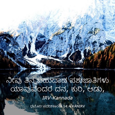 Picture 03 - ಧರ್ಮೋಪದೇಶಕಾಂಡ 14:4 KANIRV - ನೀವು ತಿನ್ನಬಹುದಾದ - Bible Verse Picture