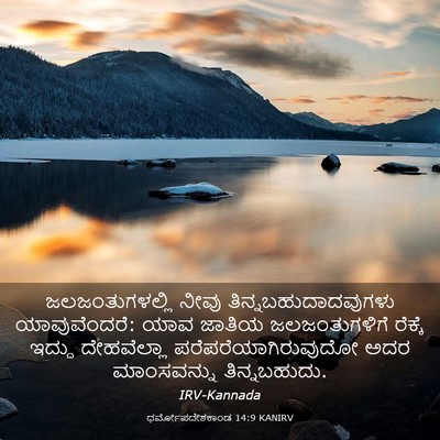 Picture 03 - ಧರ್ಮೋಪದೇಶಕಾಂಡ 14:9 KANIRV - ಜಲಜಂತುಗಳಲ್ಲಿ ನೀವು - Bible Verse Picture
