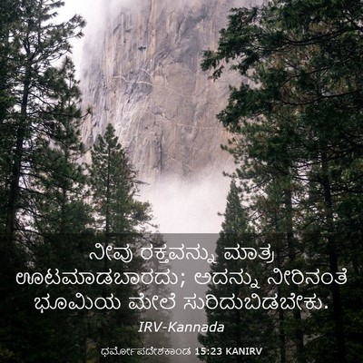 Picture 03 - ಧರ್ಮೋಪದೇಶಕಾಂಡ 15:23 KANIRV - ನೀವು ರಕ್ತವನ್ನು - Bible Verse Picture
