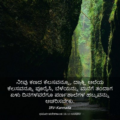 Picture 03 - ಧರ್ಮೋಪದೇಶಕಾಂಡ 16:13 KANIRV - ನೀವು ಕಣದ - Bible Verse Picture