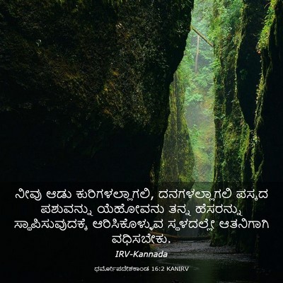 Picture 03 - ಧರ್ಮೋಪದೇಶಕಾಂಡ 16:2 KANIRV - ನೀವು ಆಡು - Bible Verse Picture