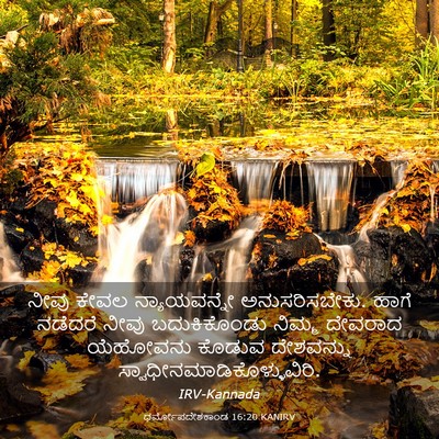 Picture 03 - ಧರ್ಮೋಪದೇಶಕಾಂಡ 16:20 KANIRV - ನೀವು ಕೇವಲ - Bible Verse Picture