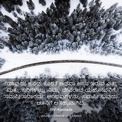 Picture 03 - ಧರ್ಮೋಪದೇಶಕಾಂಡ 17:1 KANIRV - ಯಾವುದೇ ಕುಂದುಕೊರತೆ - Bible Verse Picture