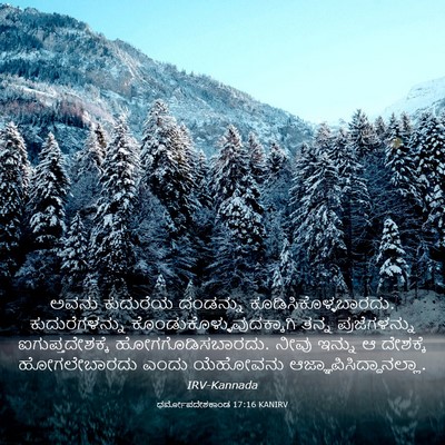Picture 03 - ಧರ್ಮೋಪದೇಶಕಾಂಡ 17:16 KANIRV - ಅವನು ಕುದುರೆಯ - Bible Verse Picture