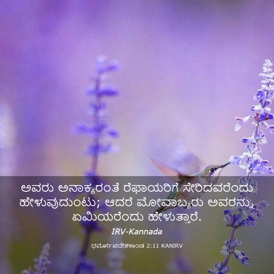 Picture 03 - ಧರ್ಮೋಪದೇಶಕಾಂಡ 2:11 KANIRV - ಅವರು ಅನಾಕ್ಯರಂತೆ - Bible Verse Picture