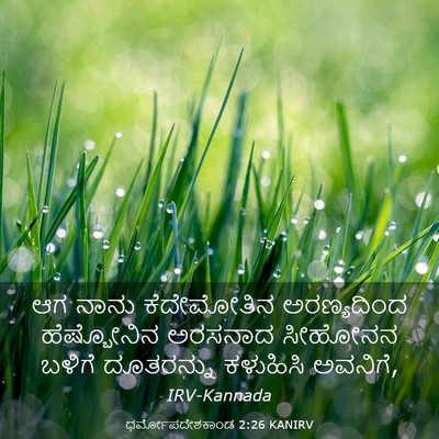 Picture 03 - ಧರ್ಮೋಪದೇಶಕಾಂಡ 2:26 KANIRV - ಆಗ ನಾನು ಕೆದೇಮೋತಿನ - Bible Verse Picture