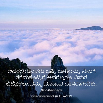 Picture 03 - ಧರ್ಮೋಪದೇಶಕಾಂಡ 20:11 KANIRV - ಅದರಲ್ಲಿರುವವರು - Bible Verse Picture