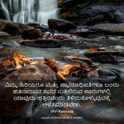 Picture 03 - ಧರ್ಮೋಪದೇಶಕಾಂಡ 21:2 KANIRV - ನಿಮ್ಮ ಹಿರಿಯರೂ - Bible Verse Picture