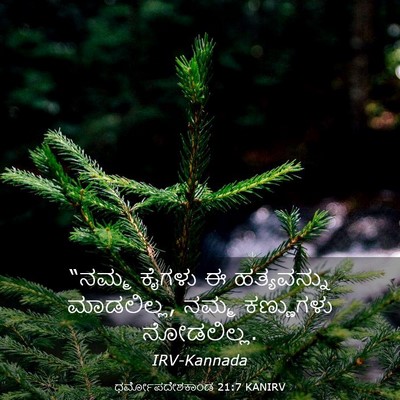 Picture 03 - ಧರ್ಮೋಪದೇಶಕಾಂಡ 21:7 KANIRV - “ನಮ್ಮ ಕೈಗಳು ಈ - Bible Verse Picture
