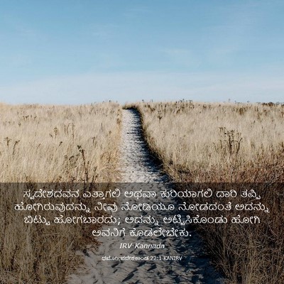 Picture 03 - ಧರ್ಮೋಪದೇಶಕಾಂಡ 22:1 KANIRV - ಸ್ವದೇಶದವನ - Bible Verse Picture