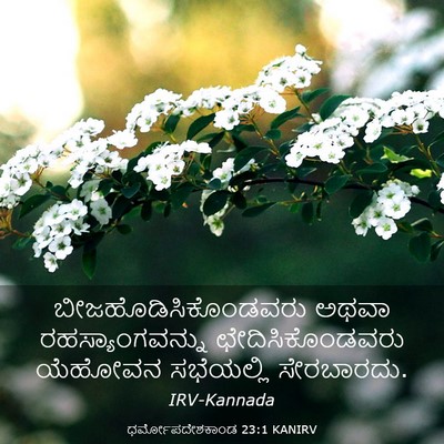 Picture 03 - ಧರ್ಮೋಪದೇಶಕಾಂಡ 23:1 KANIRV - ಬೀಜಹೊಡಿಸಿಕೊಂಡವರು - Bible Verse Picture