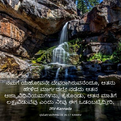Picture 03 - ಧರ್ಮೋಪದೇಶಕಾಂಡ 26:17 KANIRV - ನಮಗೆ ಯೆಹೋವನೇ - Bible Verse Picture