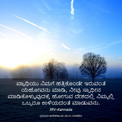 Picture 03 - ಧರ್ಮೋಪದೇಶಕಾಂಡ 28:21 KANIRV - ವ್ಯಾಧಿಯು ನಿಮಗೆ - Bible Verse Picture