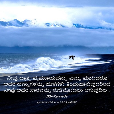 Picture 03 - ಧರ್ಮೋಪದೇಶಕಾಂಡ 28:39 KANIRV - ನೀವು ದ್ರಾಕ್ಷಿ - Bible Verse Picture