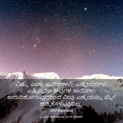 Picture 03 - ಧರ್ಮೋಪದೇಶಕಾಂಡ 28:40 KANIRV - ನಿಮ್ಮ ಎಲ್ಲಾ - Bible Verse Picture