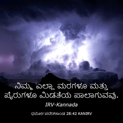 Picture 03 - ಧರ್ಮೋಪದೇಶಕಾಂಡ 28:42 KANIRV - ನಿಮ್ಮ ಎಲ್ಲಾ ಮರಗಳೂ - Bible Verse Picture