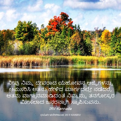 Picture 03 - ಧರ್ಮೋಪದೇಶಕಾಂಡ 28:9 KANIRV - ನೀವು ನಿಮ್ಮ ದೇವರಾದ - Bible Verse Picture