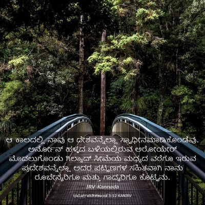 Picture 03 - ಧರ್ಮೋಪದೇಶಕಾಂಡ 3:12 KANIRV - ಆ ಕಾಲದಲ್ಲಿ ನಾವು ಆ - Bible Verse Picture