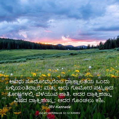Picture 03 - ಧರ್ಮೋಪದೇಶಕಾಂಡ 32:32 KANIRV - ಅವರು ಸೊದೋಮ್ಯರೆಂಬ - Bible Verse Picture