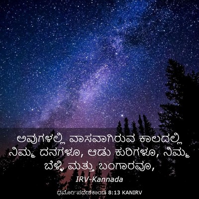Picture 03 - ಧರ್ಮೋಪದೇಶಕಾಂಡ 8:13 KANIRV - ಅವುಗಳಲ್ಲಿ - Bible Verse Picture